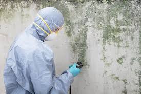 Best Mold Remediation for Healthcare Facilities  in Miamisburg, OH